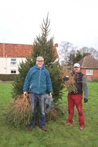 longcot christmas tree dec 2014